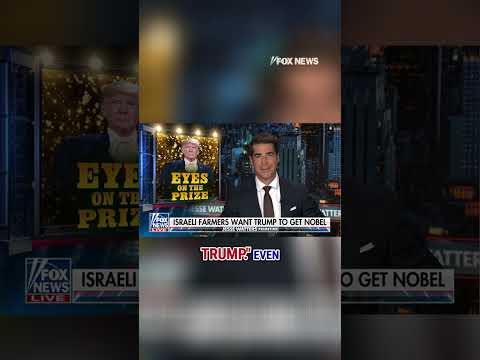 You are currently viewing Israel wants Trump to get the Nobel: Watters #shorts #donaldtrump #israel #gaza #world #usa #us