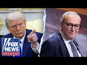 Read more about the article Chuck Schumer just wrote this for Republicans: Lisa Boothe