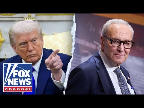 You are currently viewing Chuck Schumer just wrote this for Republicans: Lisa Boothe