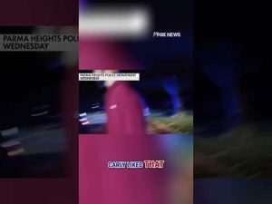 Read more about the article CAUGHT ON CAM: Massive inflatable pumpkin apprehended by police #shorts