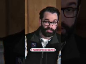 Read more about the article Matt Walsh: Right move to label Antifa domestic terrorists