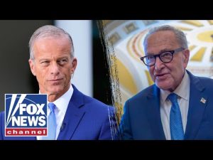 Read more about the article THIS is becoming ‘very real’: Senate Majority Leader
