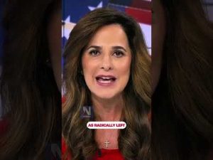 Read more about the article The reason behind the ‘Schumer Shutdown’ is a simple one: Lidia Curanaj