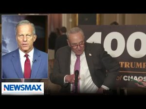 Read more about the article Democrats are holding the American people hostage: Thune | The Record with Greta Van Susteren