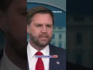 Read more about the article JD Vance: Our troops aren’t getting paid because of the Chuck Schumer wing of the Dem Party #shorts