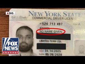 Read more about the article Illegal immigrant arrested with ‘NO NAME’ on driver’s license: ‘SHAMEFUL’