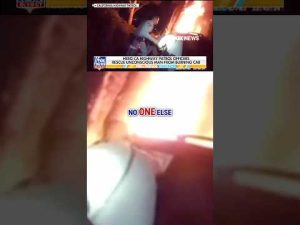 Read more about the article California Highway Patrol officers make DARING rescue #foxnews #news #shorts #viral
