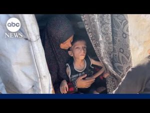 Read more about the article The journey to healing for Gaza