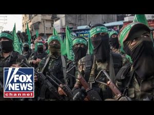 Read more about the article ‘The signs aren’t good’: National security expert on Hamas’ re-emergence in Gaza