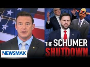 Read more about the article Carl Higbie: Democrats have shutdown the Government for illegal aliens