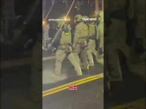 Read more about the article Four detained after anti-ICE protester’s fiery clash with officers