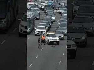 Read more about the article WATCH: Ducks cause major traffic jam on four-lane highway #foxnews #news #shorts