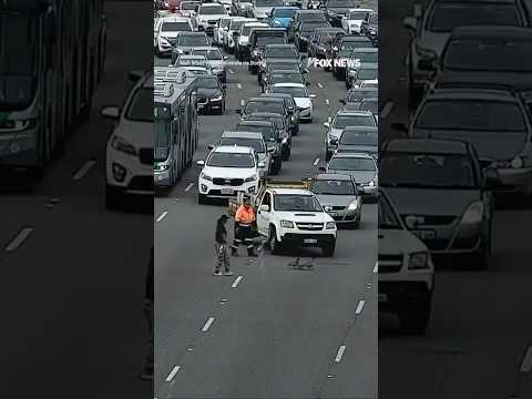 You are currently viewing WATCH: Ducks cause major traffic jam on four-lane highway #foxnews #news #shorts
