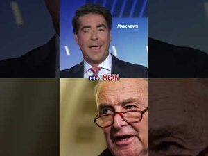 Read more about the article Watters: Schumer looks ‘REALLY DUMB’ #shorts #usa #politics #foxnews #us #politicalnews