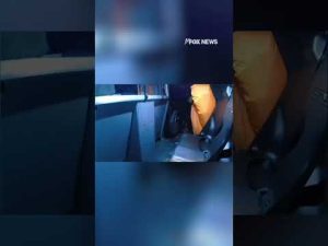 Read more about the article CAUGHT ON CAM: Runaway inflatable pumpkin wrangled by police #shorts #usa #news #new #viral