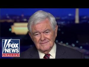 Read more about the article Newt Gingrich: Dems don’t understand this