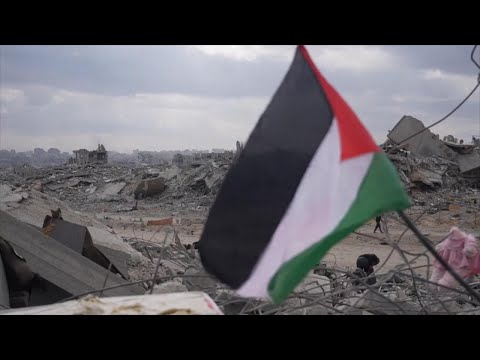 You are currently viewing Hamas policing Gaza is a ‘short-term cost’: Former DHS official