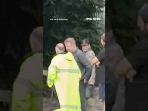 Read more about the article SEE IT: Video captures aftermath of Alec Baldwin’s crash #shorts #usa #us #car #watch