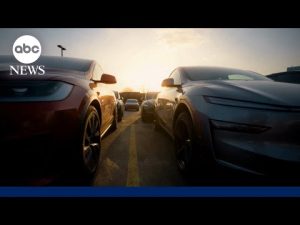 Read more about the article New car costs record $50,000 as experts say price between new, used cars is minimal