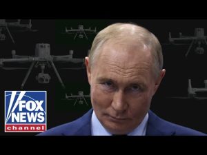 Read more about the article This is a ‘sanctuary for Russia,’ strategic analyst warns