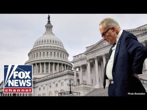 Read more about the article What the ‘Schumer shutdown’ boils down to