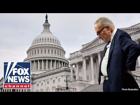 You are currently viewing What the ‘Schumer shutdown’ boils down to