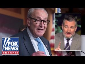 Read more about the article ‘POLITICAL CRISIS’: Ted Cruz addresses TWO things driving the government shutdown