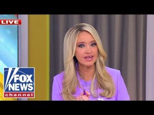 Read more about the article McEnany: He just DISQUALIFIED himself with one answer