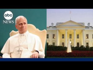 Read more about the article Pope Leo gets political, appears to take on the White House
