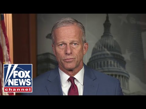 You are currently viewing ‘DESPERATE’: Top Senate Republican calls out Dems in shutdown fight