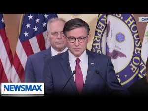 Read more about the article Mike Johnson: Schumer, Jeffries bowing to pressure from ‘No Kings’ organizer