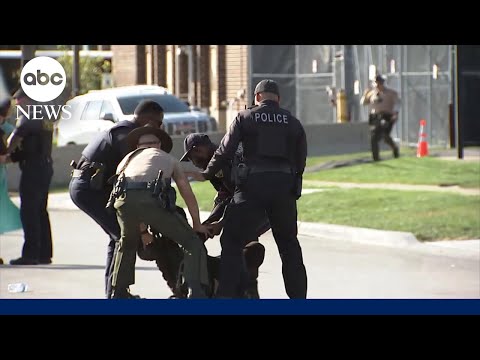 You are currently viewing Protesters arrested outside Illinois ICE facility