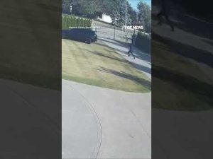 Read more about the article Businessman narrowly survives gunman’s bold daytime ambush #shorts