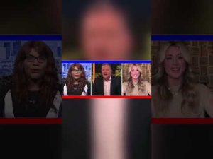 Read more about the article ‘Deranged leftists’ expose themselves with this ‘bonkers’ claim: Ed Henry