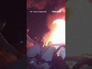 Read more about the article Officers smash windows and pull a trapped driver from a burning car #shorts #viral #news #new #usa