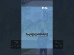 Read more about the article 3 dead after private plane crashes in Michigan woods