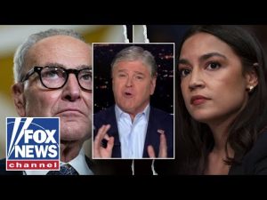 Read more about the article DON’T BELIEVE YOUR LYIN’ EYES: What Dems don’t want you to know about the shutdown