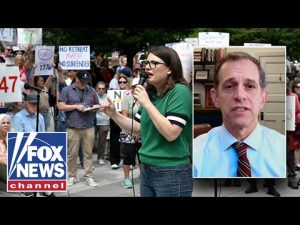 Read more about the article ‘No Kings’ protest organizer argues Trump has ‘authoritarian agenda’