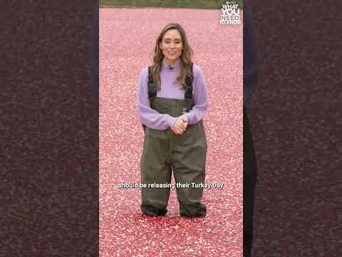 You are currently viewing Early Thanksgiving deals are already rolling out