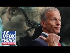Read more about the article ‘THEY’RE STUCK’: Dems ‘really don’t know’ what they’re doing, Senate Majority leader says