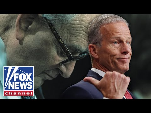 You are currently viewing ‘THEY’RE STUCK’: Dems ‘really don’t know’ what they’re doing, Senate Majority leader says