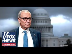 Read more about the article Dems are costing America ‘$15 BILLION a week,’ says Trump economic expert
