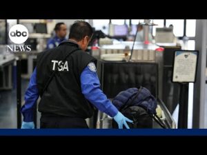 Read more about the article How is travel being impacted by the government shutdown?