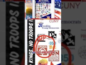 Read more about the article ‘No Kings’ sponsorships EXPOSED: This is an ‘anti-American’ rally #shorts