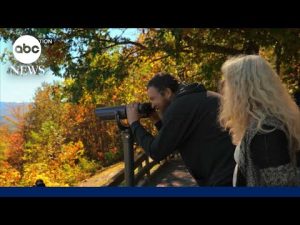 Read more about the article Take a trip to Tennessee