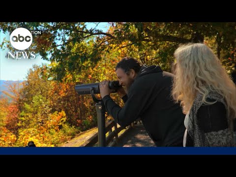 You are currently viewing Take a trip to Tennessee