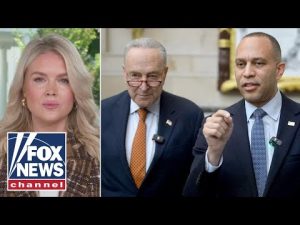 Read more about the article Karoline Leavitt torches Dems in FIERY response: ‘HOLDING THIS COUNTRY HOSTAGE’