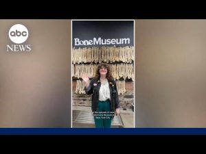 Read more about the article Woman takes on challenge of visiting all 200 of New York City’s museums