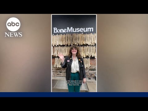 You are currently viewing Woman takes on challenge of visiting all 200 of New York City’s museums