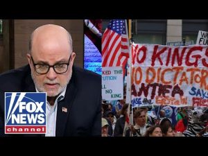 Read more about the article Levin: I’m ‘SICK AND TIRED’ of this